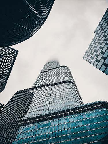 office building low-angle photography of curtain wall high-rise building during daytime city